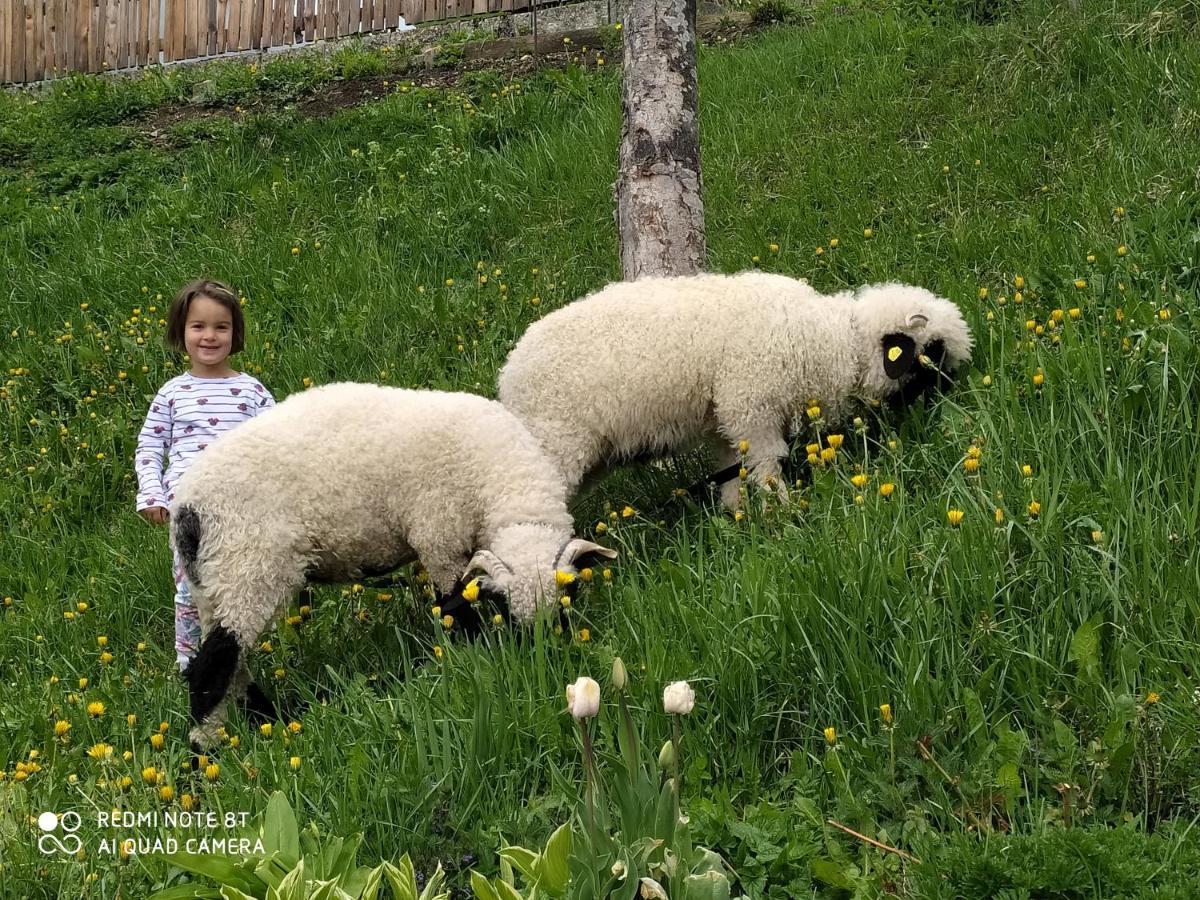 לה ואלה Agriturismo Luech Picedac מראה חיצוני תמונה