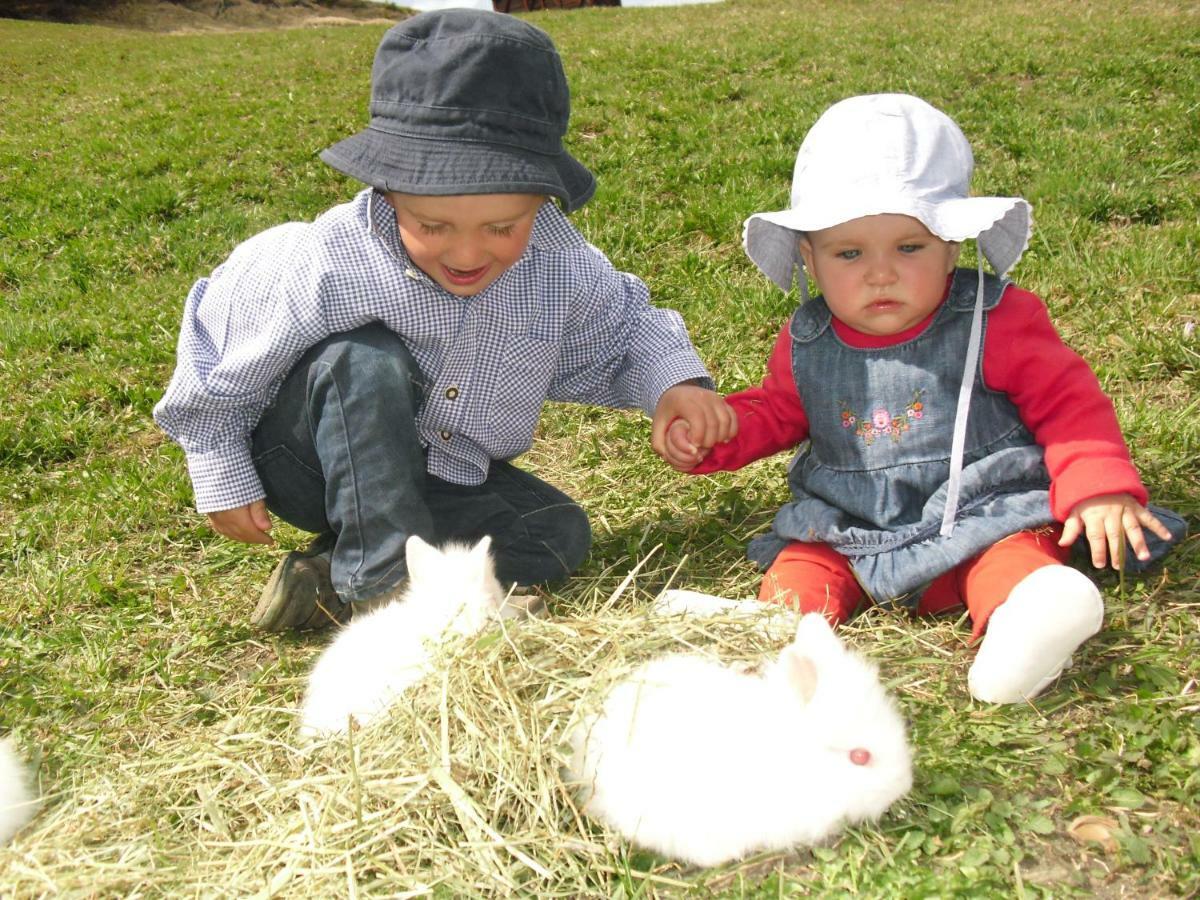 לה ואלה Agriturismo Luech Picedac מראה חיצוני תמונה