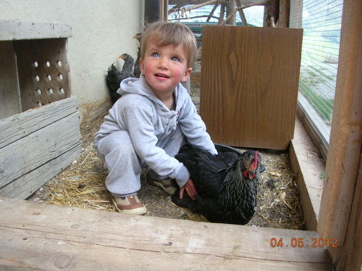 לה ואלה Agriturismo Luech Picedac מראה חיצוני תמונה